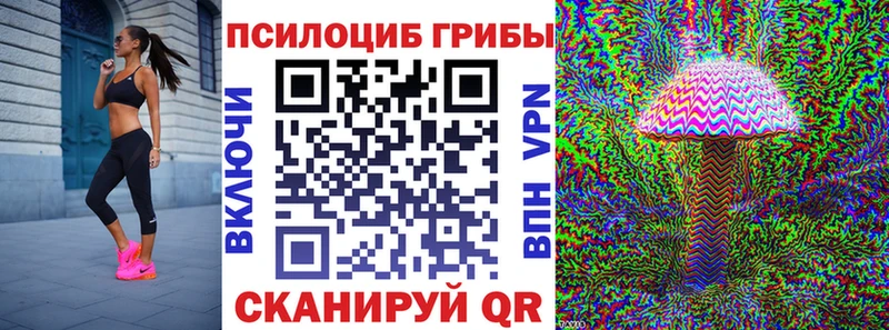 Купить где Новоалександровск Псилоцибиновые грибы прущие грибы