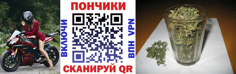 Бошки Шишки марихуана Купить закладки Новоалександровск